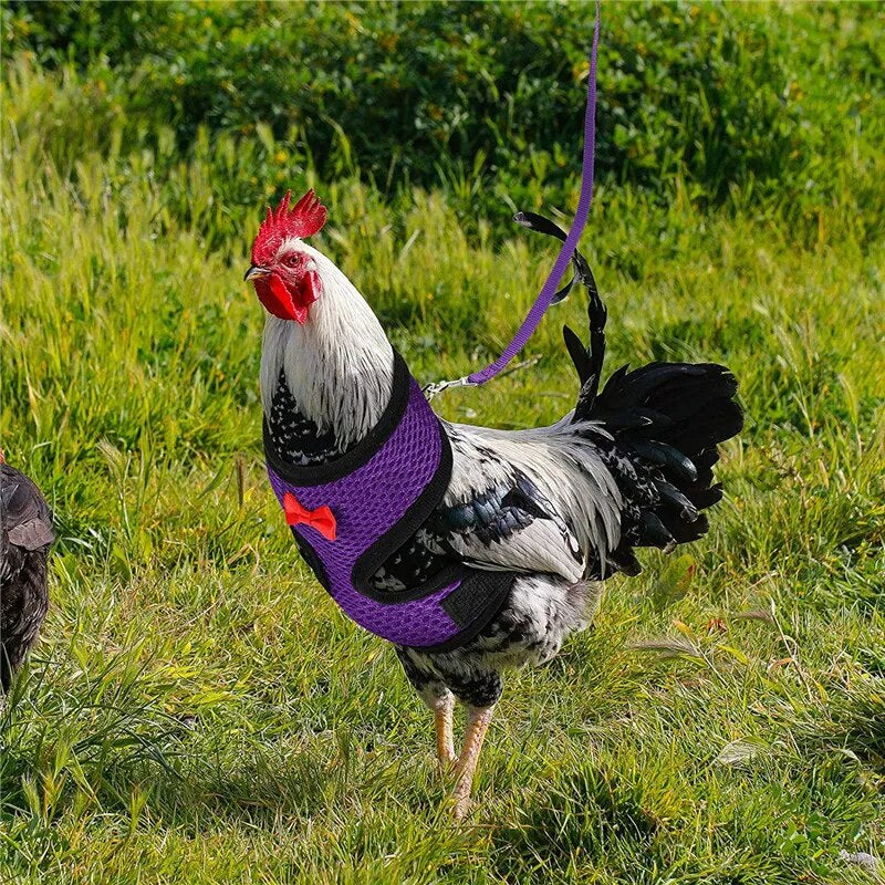 š„Upgraded versionš„Velcro chicken breast strap neck (pet carrier)