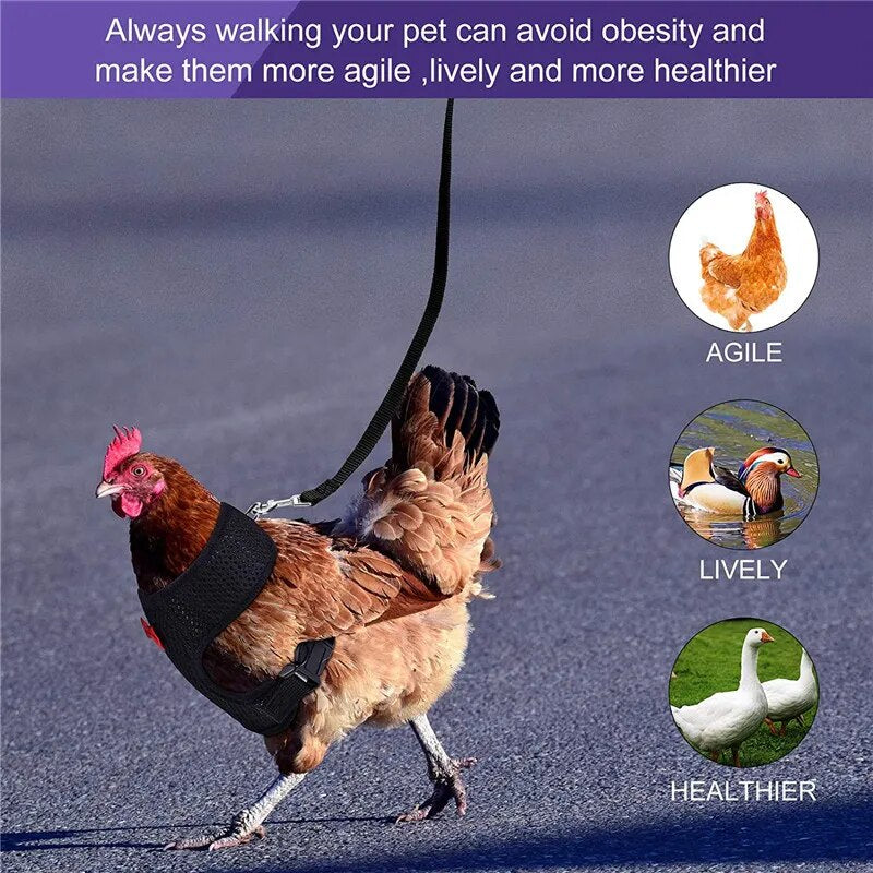 š„Upgraded versionš„Velcro chicken breast strap neck (pet carrier)