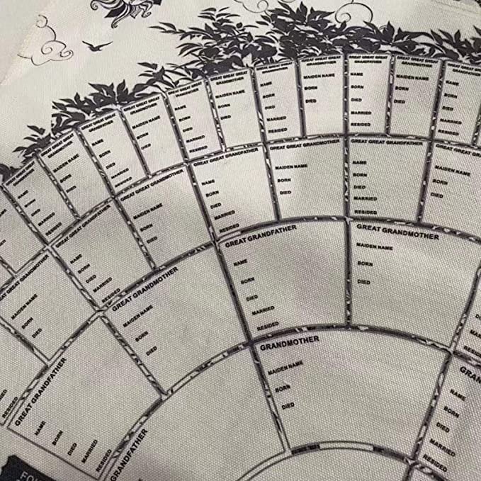 👩👩👧👧Family Tree Chart Diy Gift🔥