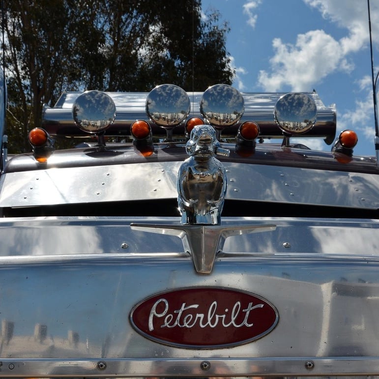 Limited Time Promotionš„ Angry Duck Hood Ornament Death Proof