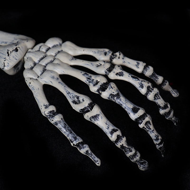 ☠️Halloween Hot Sale - 70% OFF🔥Skeleton Decoration in Garden Cemetery